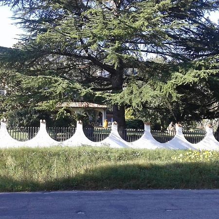 Belvedere Valenza تيرني المظهر الخارجي الصورة